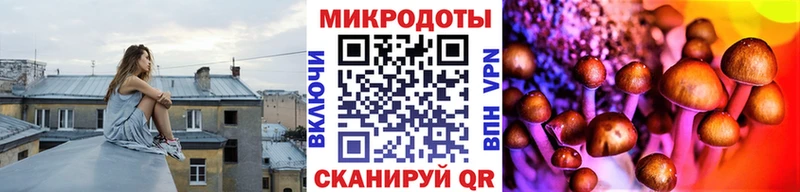 Галлюциногенные грибы мухоморы Кимовск